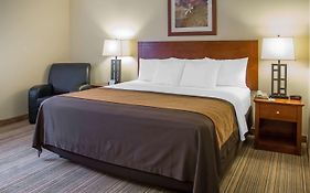 Comfort Inn Cockatoo Near Lax Airport Hawthorne Ca 2*